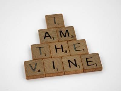 El regreso de Vine anunciado por Elon Musk