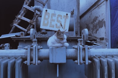Cómo elegir el mejor proveedor de equipos de trabajadores humanos y agentes