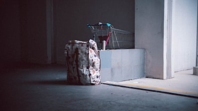 Horror vacacional futurista: robot pierde equipaje en Tokio