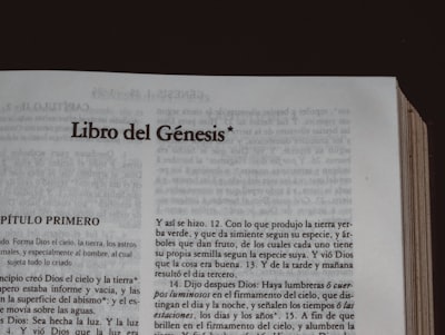 ¿Tienen creencias fundamentales los LLM?