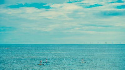 ¿Se puede acceder al seguimiento automatizado de vacaciones desde cualquier lugar?