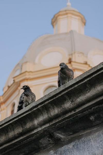 Principales Expertos en IA en Águilas