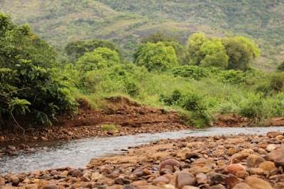 Cómo la IA puede apoyar los objetivos ambientales