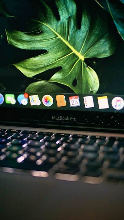 ¿Las soluciones de software web promueven la transformación digital sostenible?