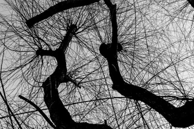 Estructura dinámica en políticas neuronales recurrentes