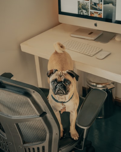 Cómo creé un asistente de IA para mis borradores en Dev.to.