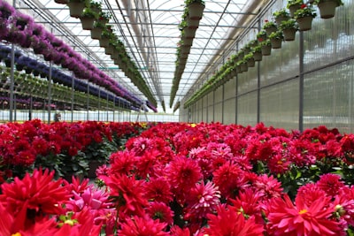 Top 15 empresas para gestión de floristerías en Bilbao
