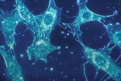 Mecanismos de detección de repeticiones en modelos de lenguaje de proteínas