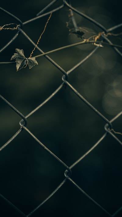 Razones para elegir ZeroThreat tras las violaciones de API