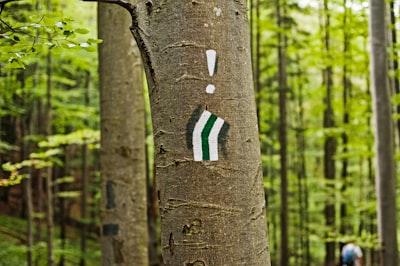 Muestreo Forestal Adaptativo para Optimización del Riesgo Espectral.
