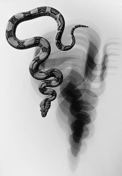 49 visual Python & AI concepts in cartoon style to learn faster