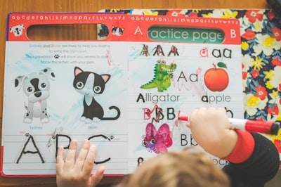 Beneficios de la creación de páginas web en la educación española