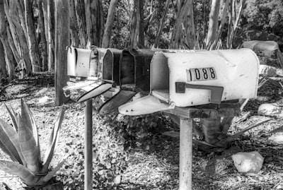Encuentra bots de telegram en Boadilla del Monte