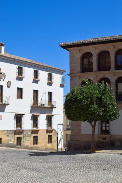 Los 3 mejores expertos en AGENCIA de IA en Jaén