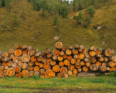 Estimación del volumen y biomasa del árbol usando regresión profunda y lidar sintéticos