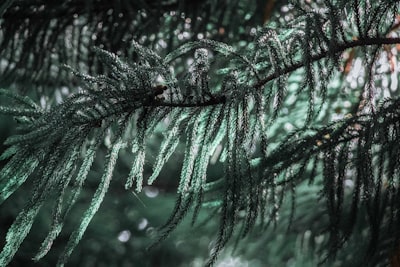 Cómo la tormenta Fern afectó a la red de Bitcoin