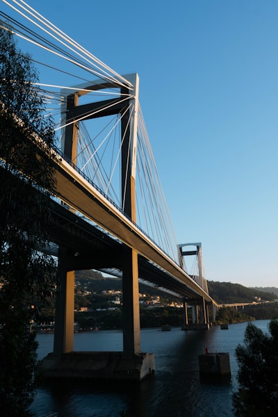 Expertos en integración de bases de datos vectoriales en Vigo