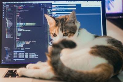 ¿Subcontratar servicios de programación se pagará por sí mismo?
