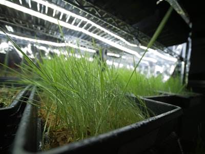 Adaptive Neuro-Symbolic Planning for Smart Agricultural Microgrid Orchestration in Quantum-Classical Hybrid Pipelines