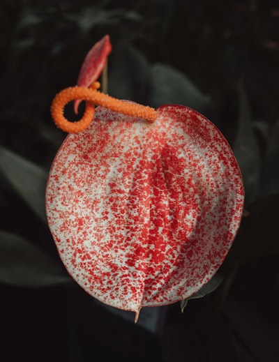 La fruta ya ha sido probada