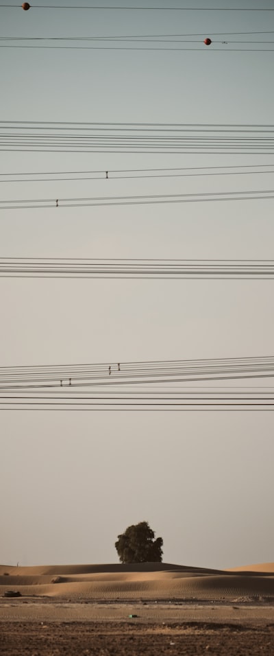 Control de timbre y modelado de textura vocal en cantantes expresivos