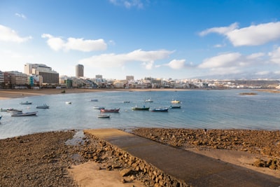 Top 20 Especialistas en Bots de SEO en Las Palmas de Gran Canaria