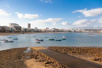 Expertos en Bots de SEO en Las Palmas