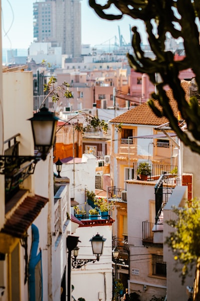Renovaciones de alquiler en Alicante: preguntas y respuestas 2026