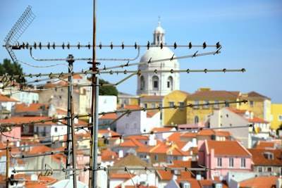 Expertos en Teléfono de IA en Pontevedra