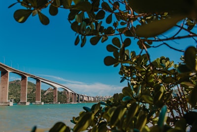 Top 10 Empresas en Vitoria para Especialistas en Power BI