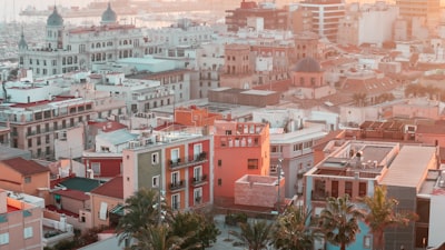 Los 50 mejores expertos en bots de Instagram en Alicante