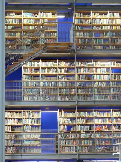 10 Bibliotecas Java Esenciales