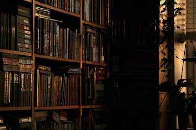 La mejor biblioteca en línea de Libros Fantasma