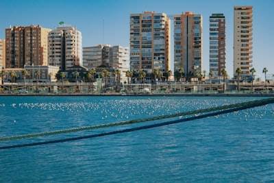 Mejores empresas de n8n en Marbella