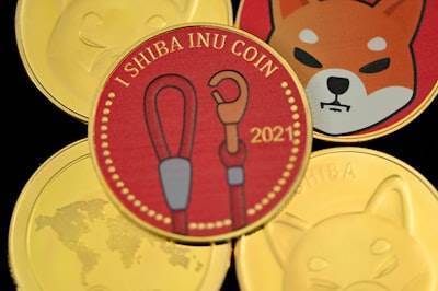 Pepeto contra Shiba Inu: La Moneda Meme que Puede Liderar la Temporada de Altcoins de 2025