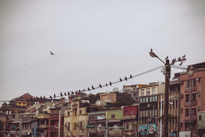 Recomendación Social Distribuida Validada por el Usuario