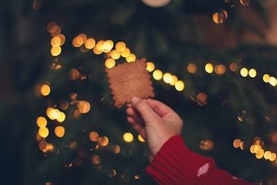 7 Steps to Prepare Your Business for the Coming Year