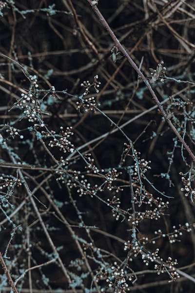 Funciones de pérdida para redes neuronales en clasificación