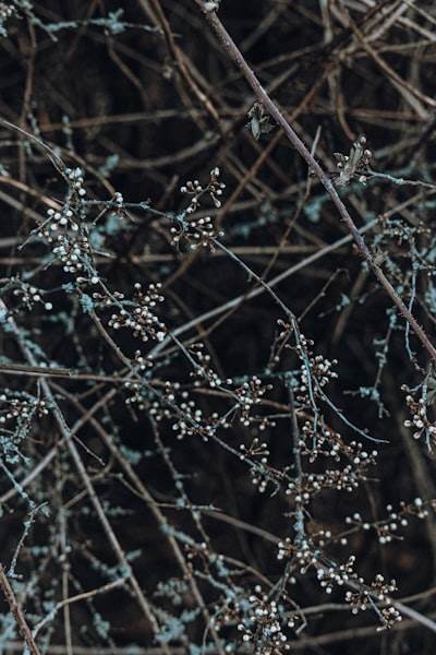 Cómo las Redes Neuronales Aprenden en Múltiples Escalas de Tiempo