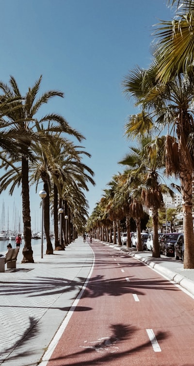 Optimización de rutas con IA en Palma