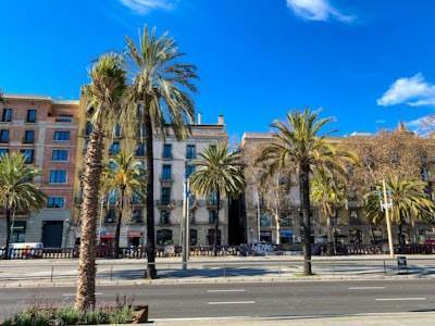 Mejores agencias de desarrollo de aplicaciones móviles en Figueres