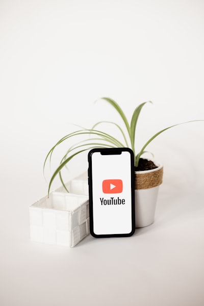 ¿Los videos de entrenamiento de IA pueden conectarse a bases de datos o APIs?