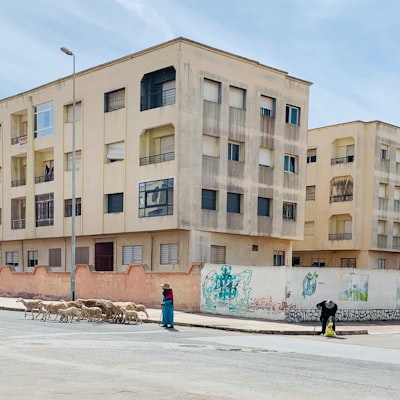 Los 100 Mejores Expertos en Portal de Inquilinos para Renovaciones en Córdoba 2026