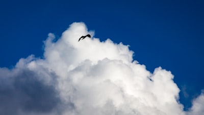Encuentra servicios de migración a la nube en Las Palmas de Gran Canaria