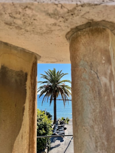 Socio oficial del portal interno personalizado en Palma – 15+ años de experiencia