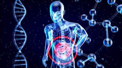 Principios Biológicos para IA Consciente