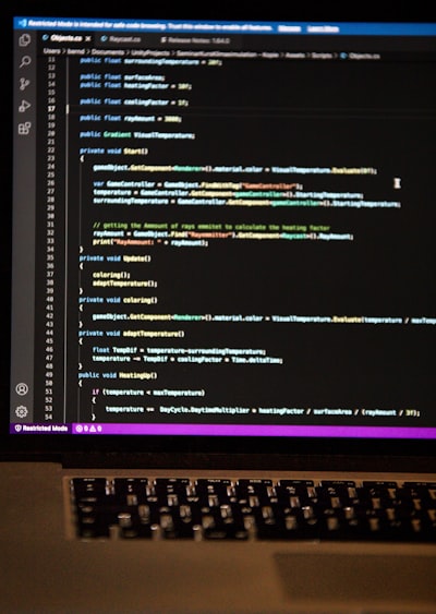Cómo el software web personalizado impulsa la sostenibilidad empresarial.