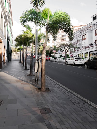 Automatización de incidentes de seguridad en Santa Cruz de Tenerife