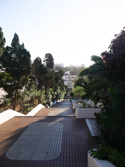 Gestión de empresa de jardinería en Santa Cruz de Tenerife