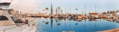 Mejores empresas de programación a medida en Marbella